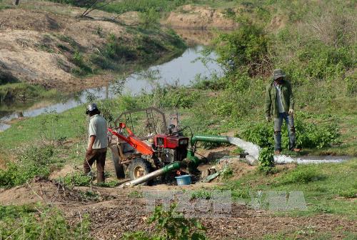 Đắk Lắk cạn kiệt nước ngầm vì khai thác trái phép
