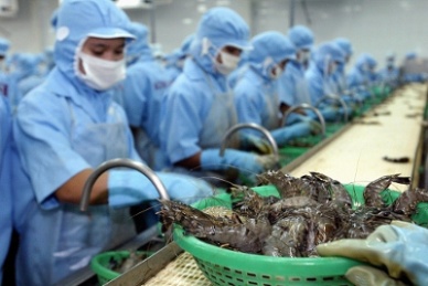 Brasil gỡ bỏ lệnh đình chỉ nhập khẩu thủy sản Việt Nam