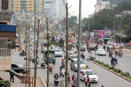 Hàng cây mới trồng trên đường Nguyễn Chí Thanh