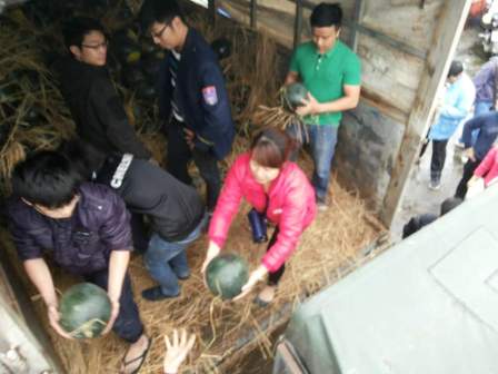 Hàng trăm người dân hồ hởi đi mua dưa giúp nông dân Quảng Nam trong lúc khó khăn.