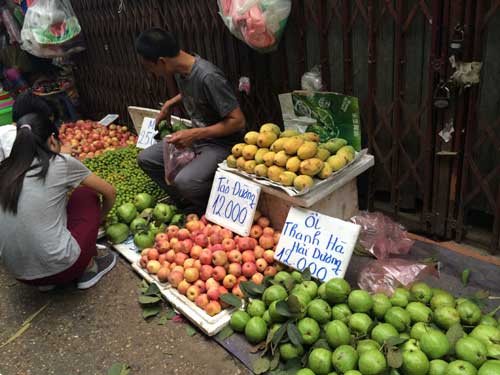 Sinh viên cũng
được dịp mua hoa quả ăn thỏa thích