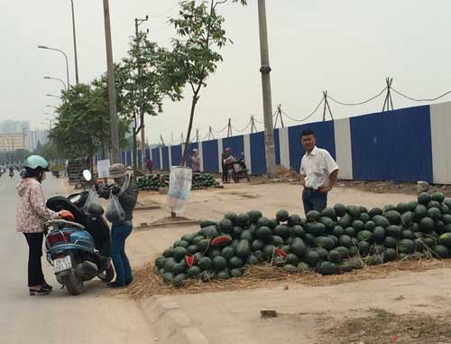 Trên đường Nguyễn
Xiển, dưa hấu được bày bán la liệt với giá 8.000 đồng/kg