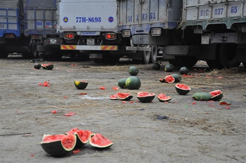 Dưa hấu thối hỏng bị vứt bỏ gần cửa khẩu Tân Thanh (Lạng Sơn)