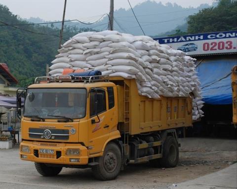 Nghịch lý Trung Quốc cần gạo vẫn ép doanh nghiệp Việt