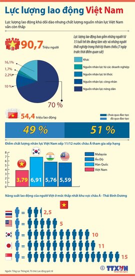 [Infographics] Tổng quan chất lượng nguồn nhân lực tại Việt Nam