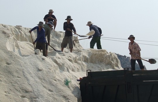 Lượng muối tồn kho ở Ninh Thuận hiện lên tới trên 100.000 tấn.