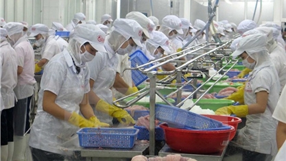 Đầu tư nông nghiệp: Đại gia Việt “hồ hởi”, FDI vẫn dè chừng