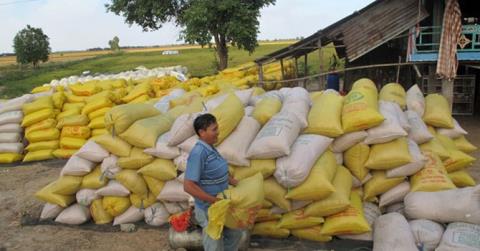 Châu Âu khát gạo thơm Myanmar: Việt Nam thiệt thòi hơn