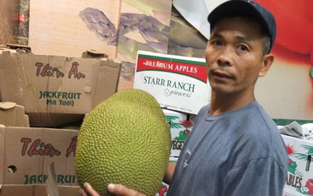 “Tổng quản” ở China Town lý giải vì sao trái cây Việt lép vế
