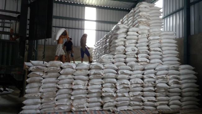 Gạo tồn đọng được xếp đầy tận nóc trong kho doanh nghiệp xuất khẩu gạo tại Lào Cai. Ảnh: Thông Chí
