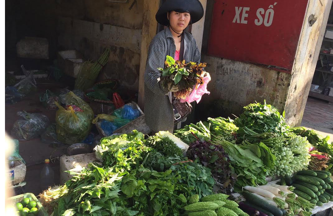 Dân buôn Hà Nội gom rau bán về Quảng Ninh lãi đậm