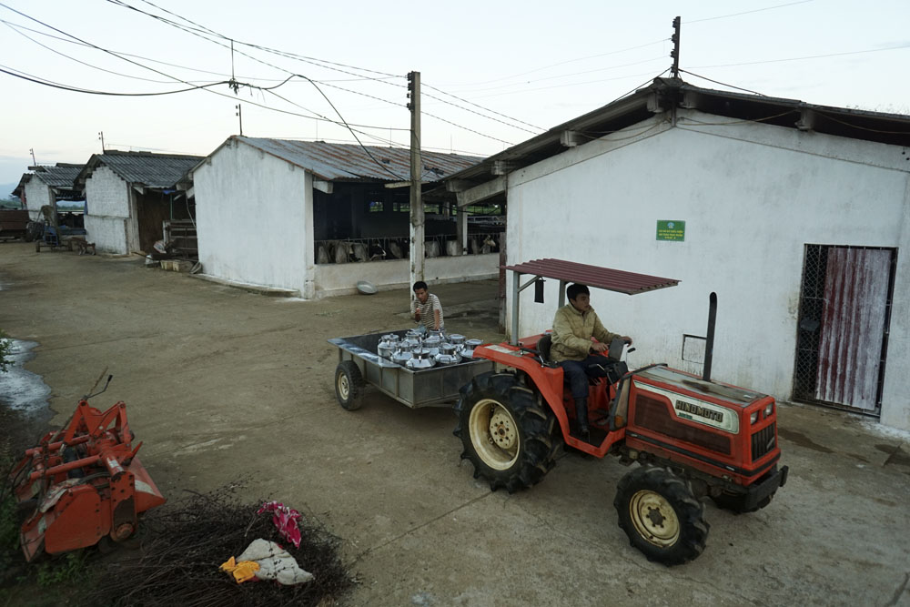 Một góc trang trại chăn nuôi bò sữa của Phan Doãn Huấn, đây thật sự là ước mơ của rất nhiều người chăn nuôi Việt Nam.