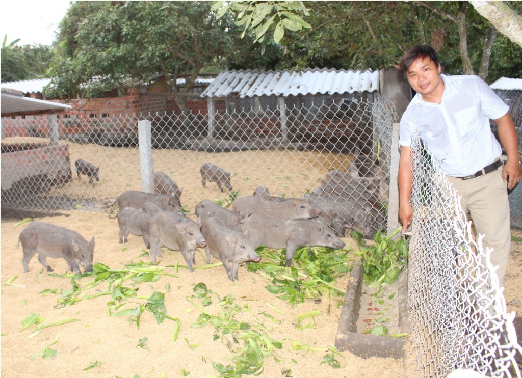 Sau khi tốt nghiệp đại học ngành Chăn nuôi, anh Đoàn Phan Dinh quyết định về quê nuôi heo rừng