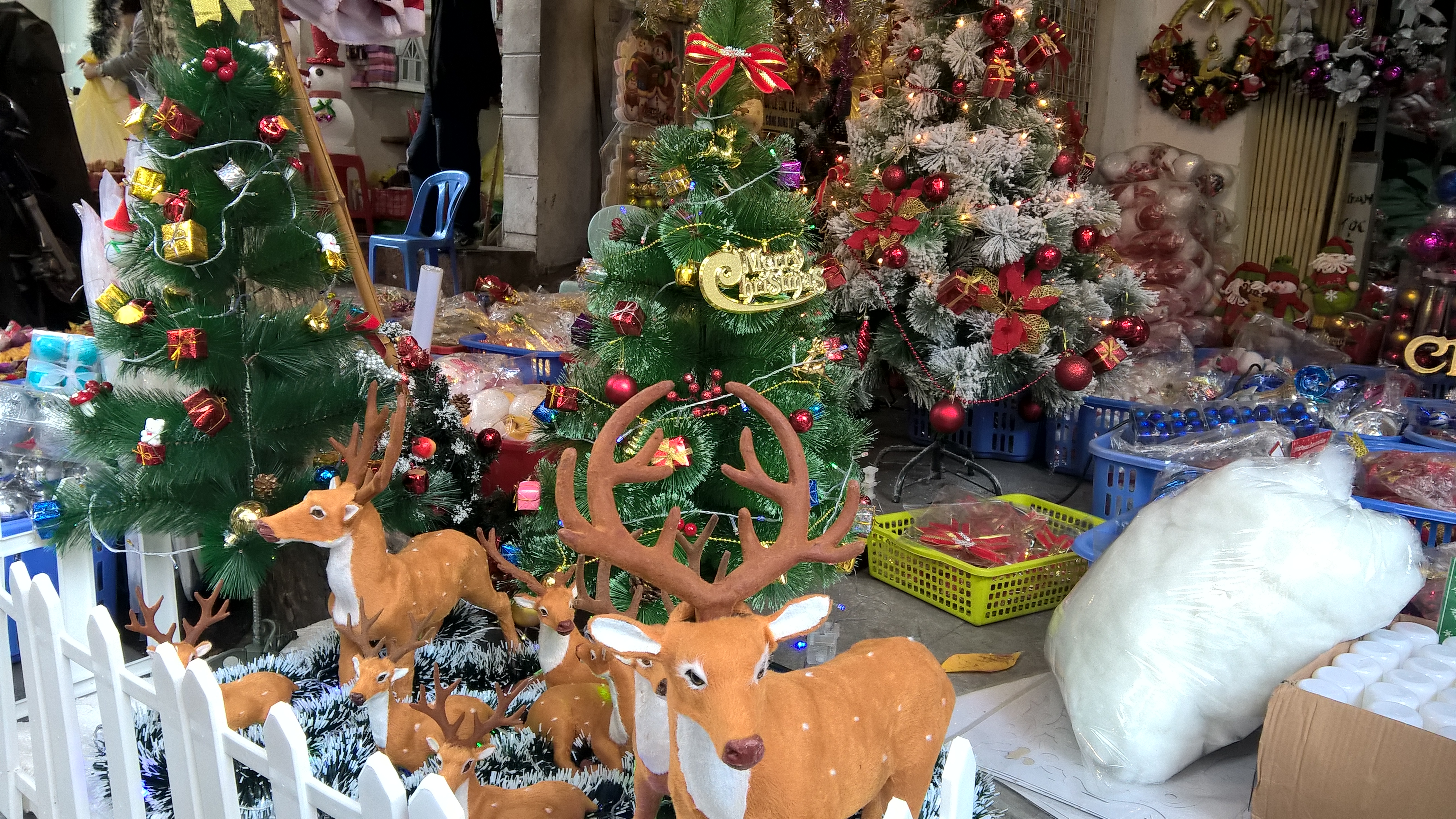 
Những quả thông được phun sơn mạ để làm vật trang trí hoặc kết thành cây thông Noel theo đơn hàng của khách
