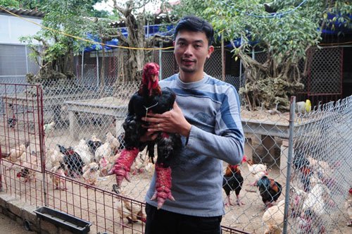 
Anh Hiểu và con gà vừa giành giải nhất Hội thi gà Đông Tảo.
