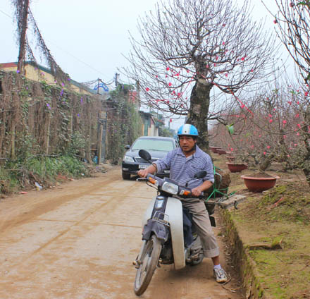 
Bác Đường (Nhật Tân, Tây Hồ) chở cây đào với khoảng cách 2km được thù lao 100.000 đồng.
