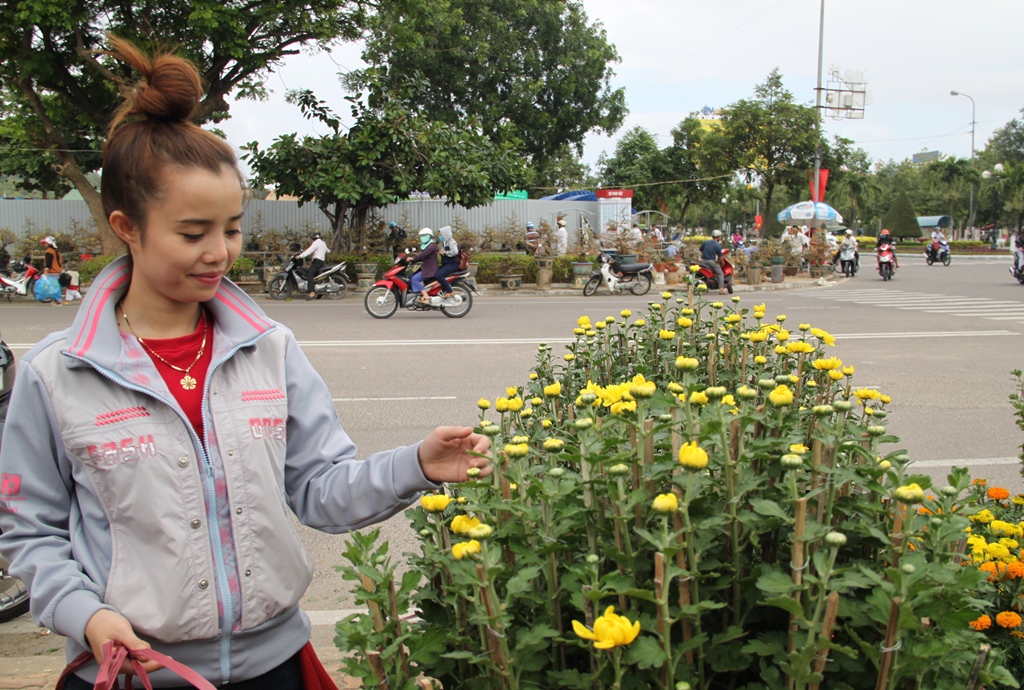 Chị Kiêm bán cúc Tết cho biết, giá một chậu cúc thấp nhất năm nay là 550.000 đồng/chậu, tăng hơn năm ngoái vì năm nay hoa mai nở sớm.