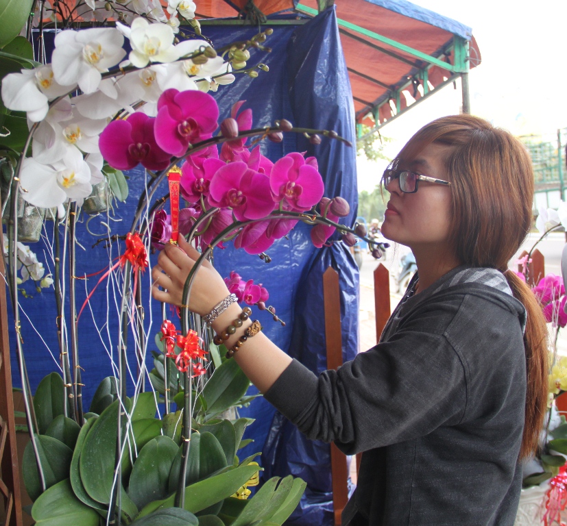 Hoa lan hút hàng ngày bán đầu tiên tại đường hoa xuân Nguyễn Tất Thành (TP Quy Nhơn)