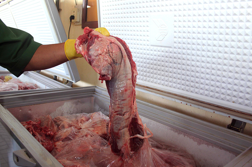 Thịt trâu đang được tẩm ướp hóa chất để biến thành thịt bò