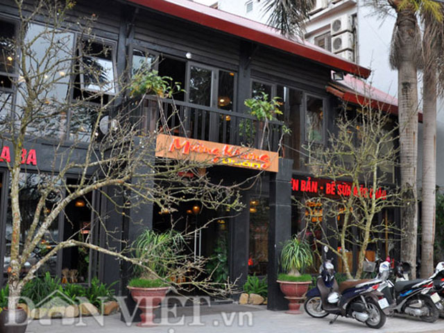 
Hai cành lê rừng cổ thụ được một chủ nhà hàng trên đường Lạc Long Quân cắm trang trí trước của để lấy may đầu năm.
