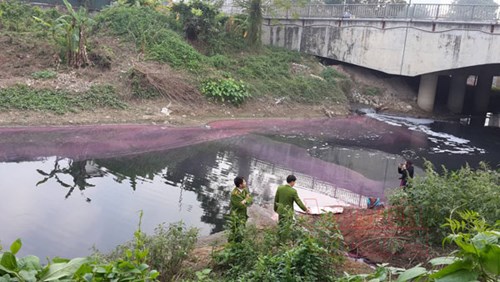 Doanh nghiệp gây ô nhiễm môi trường đã xuất hiện ở khu vực FDI