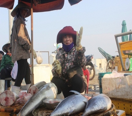 Quảng Bình: Lập nhiều điểm bán hải sản sạch phục vụ người dân