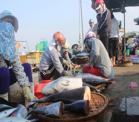 Các loại hải sản được ngư dân bày bán với mức giá được niêm yết từ 15 đến 45 ngàn/kg