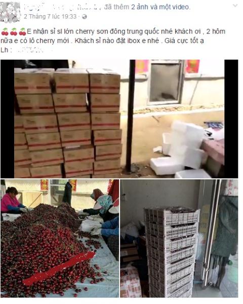 Cherry Trung Quốc giá rẻ bán công khai 120.000 đồng/kg