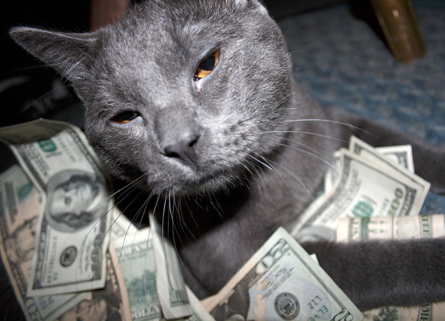 2 con mèo được nhận thừa kế 7 tỷ đồng
