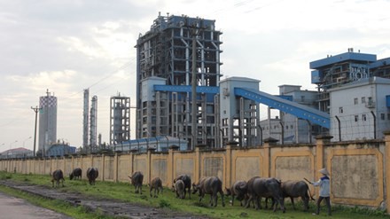 
Nhà máy Đạm Ninh Bình cũng nằm trong danh sách dự án có nguy cơ phá sản
