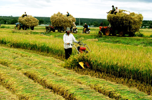Chính phủ vừa ban hành Quyết định tái cơ cấu ngành nông nghiệp từ năm 2017 - 2020