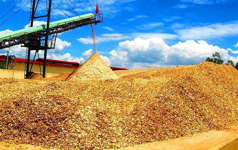 
Mặt dăm gỗ xuất khẩu tại Bình Định đang bị tồn kho
