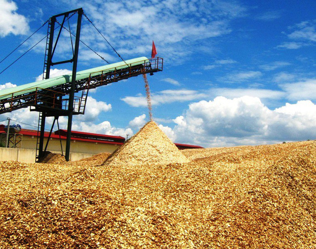 Trung Quốc ngừng thu mua dăm gỗ khiến các nhà máy chế biến dăm gỗ Bình Định đang gặp khó những tháng cuối năm.