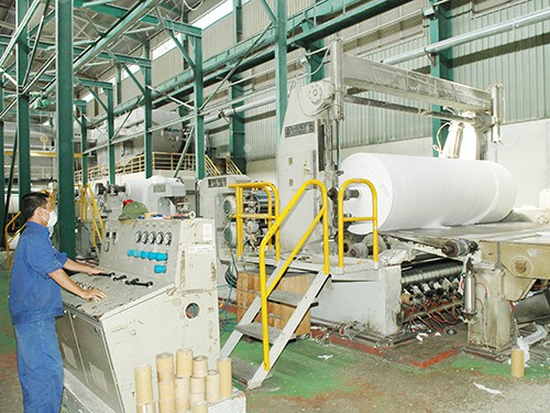 
Ngành sản xuất giấy Việt Nam hiện đang vật lộn với khó khăn
