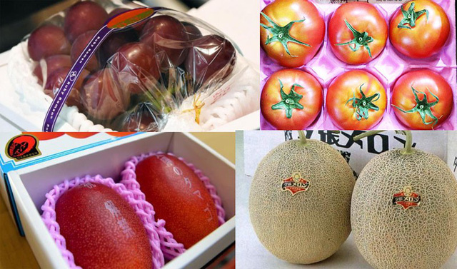 
Các loại trái cây có giá đắt đỏ nhất thế giới được bày bán khá nhiều tại Việt Nam
