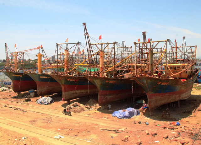 5 tàu cá do Công ty TNHH Đại Nguyên Dương đóng cho ngư dân Bình Định bị hư hỏng nằm bờ sau thời gian ngắn khai thác.
