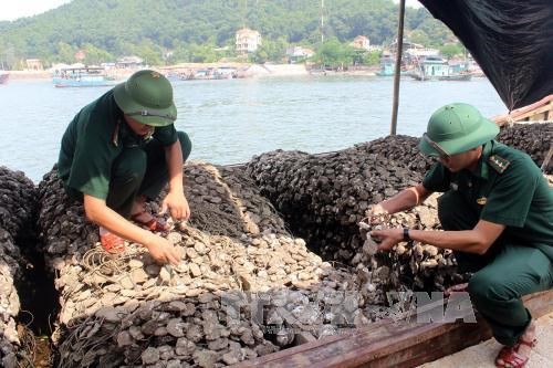 Bắt tàu 20 tấn chở hàu chết, bốc mùi từ Trung Quốc về Việt Nam tiêu thụ