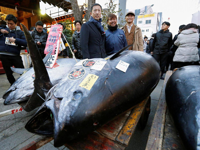 Một nhà hàng Nhật chi gần 7,4 tỷ đồng để mua 1 con cá ngừ
