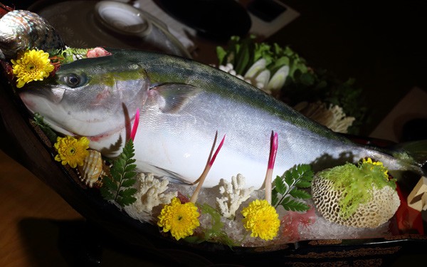 Đại gia ăn 'cá năm mới' Nhật: Truyền tai nhau, sống thọ thêm 5 tuổi