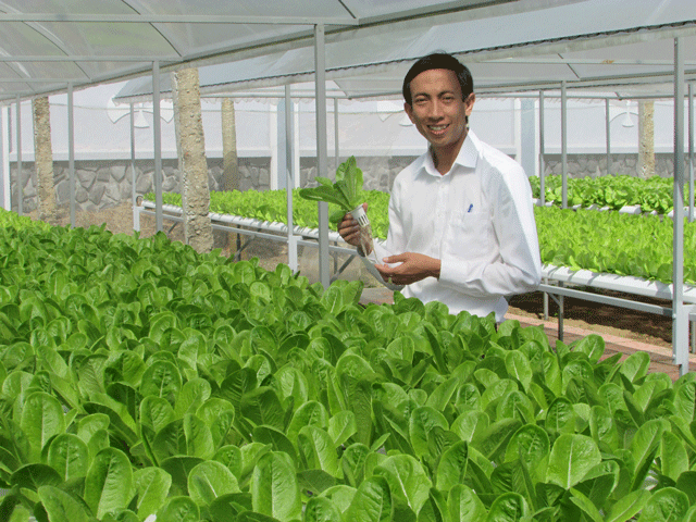 Bỏ lương 25 triệu đồng/tháng, Nguyễn Quốc Phong về khởi nghiệp với dự án cung cấp giải pháp trồng rau sạch