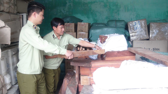 Quảng Nam: Bắt gần 2 tấn gỗ hương, trắc không giấy tờ