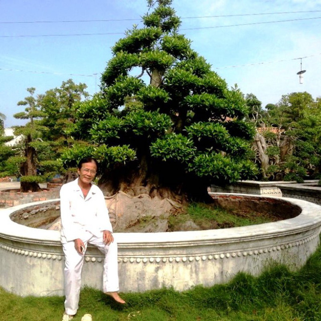 Nghệ nhân quốc gia Võ Phi Sơn bên cây Cà Na trị giá hàng chục tỷ đồng.