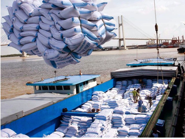 Việt Nam trúng thầu hàng trăm nghìn tấn gạo xuất khẩu sang Indonesia