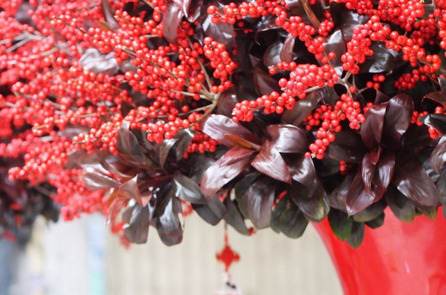 Cặp hình hoa đông đào cao 2m có giá hơn 100 triệu đồng