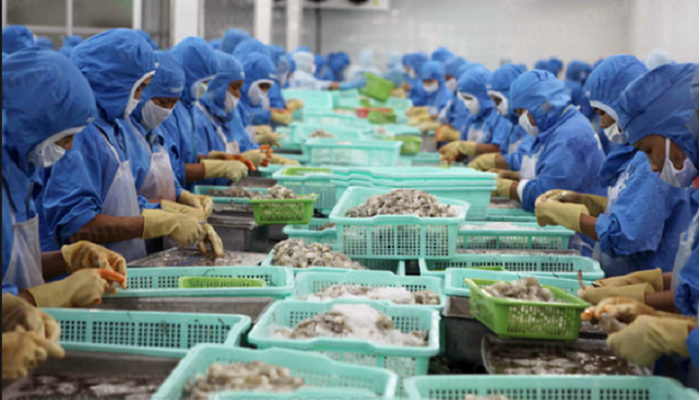 
Mặc dù là nước xuất khẩu nhiều hải sản nhưng Việt Nam cũng bắt đầu phải nhập hải sản từ nước ngoài. Ảnh: VTV
