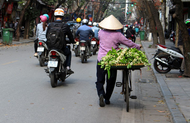 
Những chiếc xe chở hoa bưởi đi khắp phố phường Hà Nội
