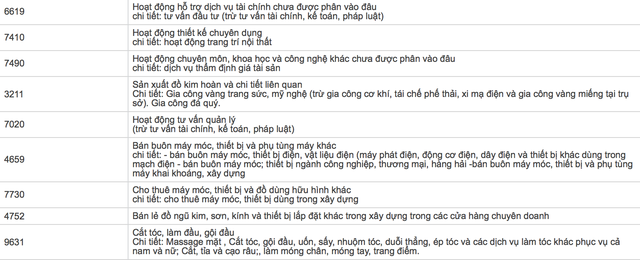 Một số ngành nghề mà Hanoi Valu đăng ký sau khi đã đổi tên (ảnh chụp màn hình)