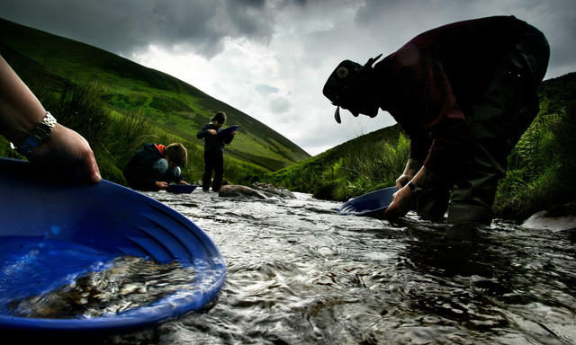 Cả người lớn và trẻ em đều đang đổ xô đến tìm vàng trên con sông Afon Wen, miền bắc xứ Wales. (Nguồn: Murdo Macleod)
