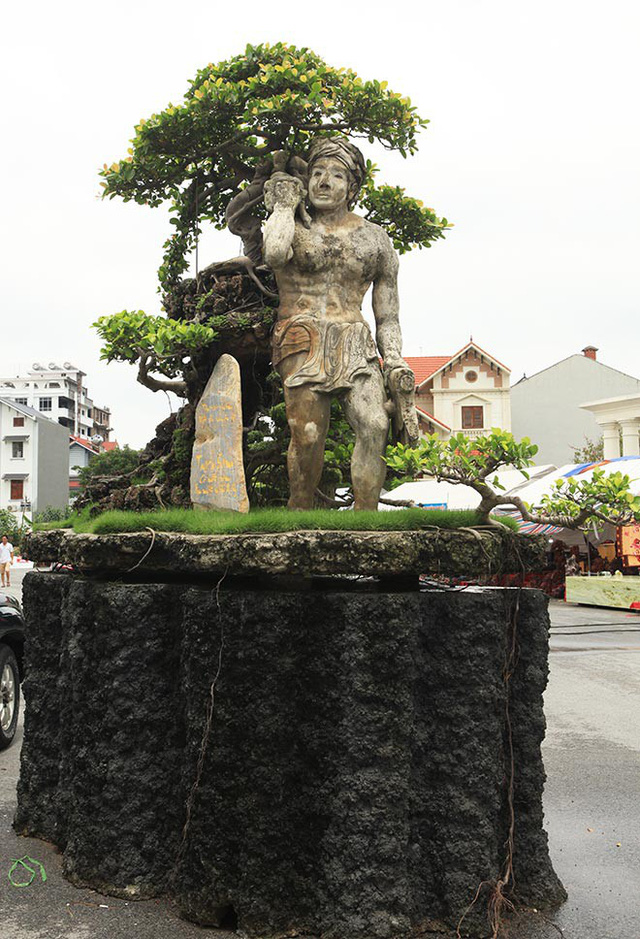 Xôn xao “cây Thạch Sanh” được báo giá hơn 4 tỷ đồng ở Hải Dương
