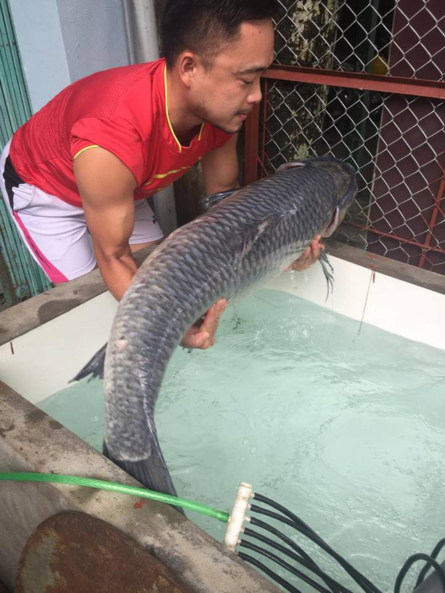 
 Con cá nặng 30kg, dài 1,2m.
